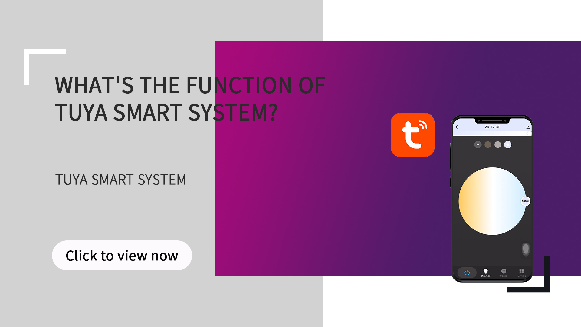Mi a funkció a Tuya Smart rendszerben?